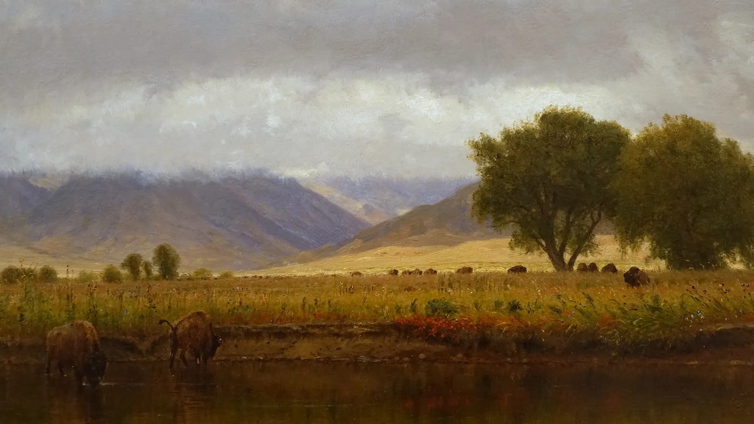 Buffalo on the Platte River, by Worthington Whittredge, 1866, oil on board - Blanton Museum of Art - Austin, Texas - DSC08188, landscape painting.