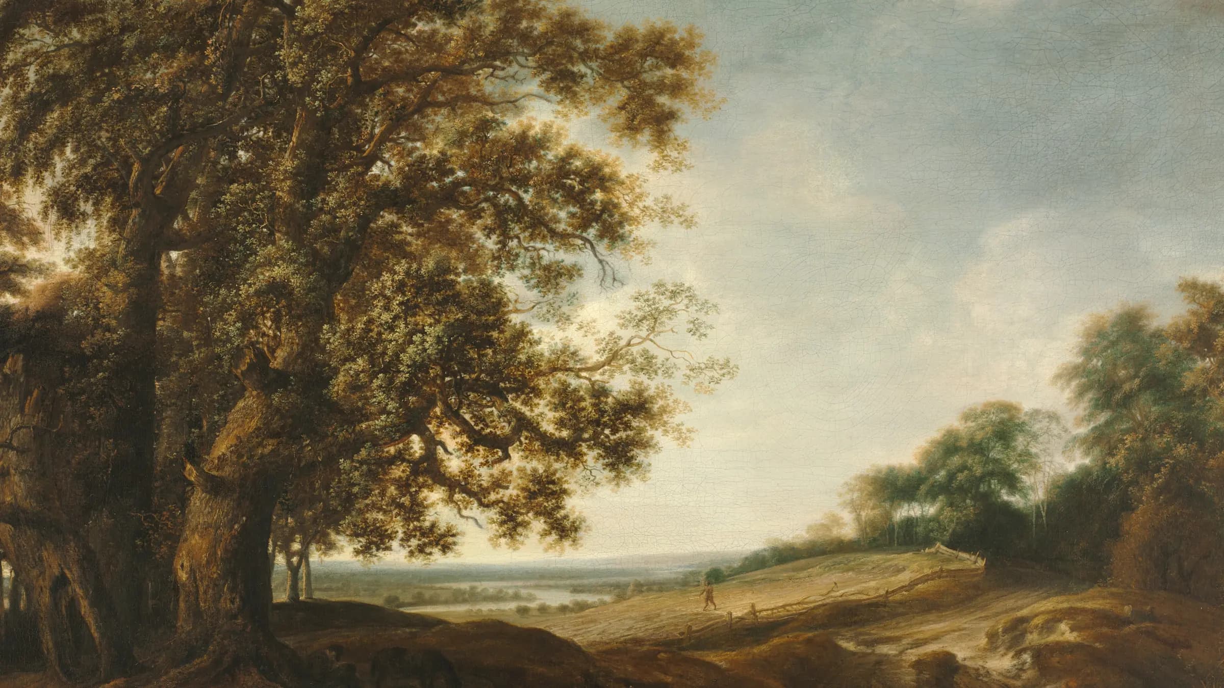 Sleeping Peasants near Fields (Parable of the Weeds), landscape painting by Simon de Vlieger (1650).