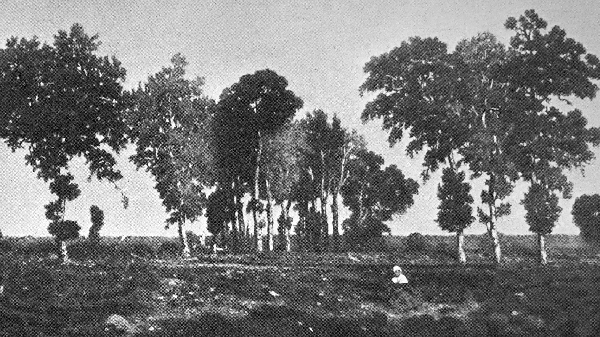 RousSeau la mare Fontainebleau 42513, landscape painting by Théodore Rousseau (1913).